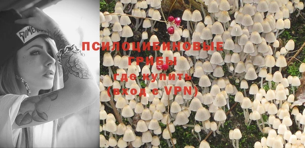 трава Белокуриха