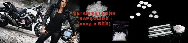 трава Белокуриха