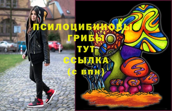 трава Белокуриха