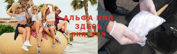трава Белокуриха