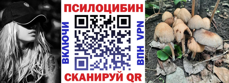 Псилоцибиновые грибы Cubensis  дарнет шоп  Кодинск 